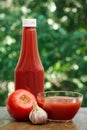 Tomato, garlic, glass bowl and bottle of ketchup Royalty Free Stock Photo