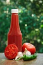 Tomato, garlic, hot pepper and bottle of ketchup. Royalty Free Stock Photo