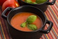 Tomato gazpacho soup, Spanish cuisine Royalty Free Stock Photo