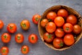 Tomato on the gray background. Royalty Free Stock Photo