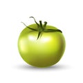 Tomato green 3d realistic isolated on white.
