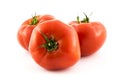 Tomato group photo. Royalty Free Stock Photo