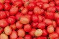 Tomato group on shelf Royalty Free Stock Photo