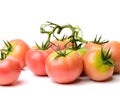 Tomato group Royalty Free Stock Photo