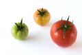 Tomato growing up showing progress with leafs set isolated on white background. Health Concept Royalty Free Stock Photo