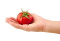 Tomato in hand isolated on a white background Royalty Free Stock Photo