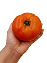 Tomato in hand,share tomato