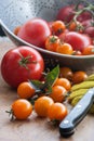 Tomato Harvest