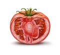 Tomato Heart Health Icon