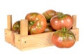 Tomato Royalty Free Stock Photo