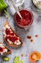 Tomato and Hot Pepper Jam, Toasts, Cheese