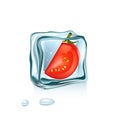 Tomato in ice cube isolated