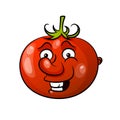 Tomato icon in flat style. Royalty Free Stock Photo