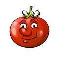 Tomato icon in flat style. Royalty Free Stock Photo