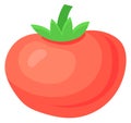 Tomato icon. Ripe fresh vegetable. Tasty cooking ingredient