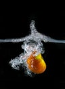 Tomato immersed in water, on black background Royalty Free Stock Photo