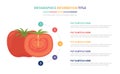 Tomato infographic template concept with five points list and various color with clean modern white background - vector