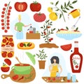 Tomato ingredient in different dishes, home cooking vector illustration Royalty Free Stock Photo