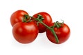 Tomato isolate, branch of red tomatoes on a white background