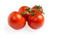 Tomato isolate, branch of red tomatoes on a white background Royalty Free Stock Photo