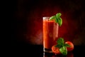 Tomato Juice- Bloody Mary Cocktail Royalty Free Stock Photo