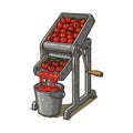Tomato juice extractor machine processing fresh red tomatoes into bucket vector illustration Royalty Free Stock Photo
