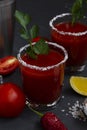 Tomato juice with salt. Bloody Mary cocktail with ingredients Royalty Free Stock Photo