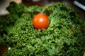 Tomato and kale Royalty Free Stock Photo