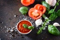 Tomato ketchup sauce in a bowl with spices, basil leaves and tomatoes Royalty Free Stock Photo