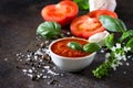 Tomato ketchup sauce in a bowl with spices, basil leaves and tomatoes Royalty Free Stock Photo