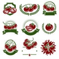 Tomato label and icons set. Collection icon tomato. Vector Royalty Free Stock Photo