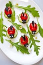 Tomato Ladybird Appetizer Royalty Free Stock Photo