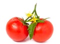 Tomato with leaves flower water drops on white background Royalty Free Stock Photo