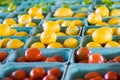 Tomato, Lemon, Lime Rainbow Royalty Free Stock Photo