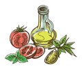 Tomato, lemon slice and jug of olive oil. vector sketch on white background Royalty Free Stock Photo
