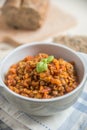 Tomato lentil soup Royalty Free Stock Photo