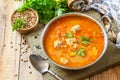 Tomato lentil soup with meatballs and vegetables. Royalty Free Stock Photo