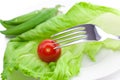 Tomato and lettuce with a fork Royalty Free Stock Photo