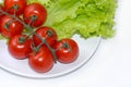Tomato and lettuce onplate isolated Royalty Free Stock Photo