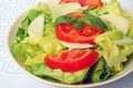 Tomato-lettuce salad Royalty Free Stock Photo