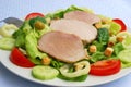 Tomato-lettuce salad with pork Royalty Free Stock Photo