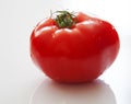 Tomato love Royalty Free Stock Photo