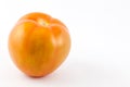 Tomato Lycopersicon esculentum Royalty Free Stock Photo