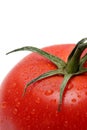 Tomato macro