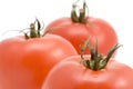 Tomato macro