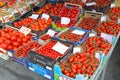 Tomato Market Italy