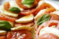 Tomato and mozarella salad Royalty Free Stock Photo