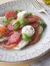 Tomato, Mozzarella and Basil Salad Royalty Free Stock Photo