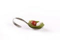 Tomato, mozzarella and basil on a spoon Royalty Free Stock Photo