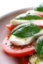 Tomato Mozzarella Caprese Royalty Free Stock Photo